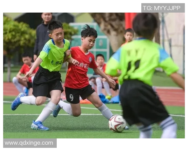 奇特足球的魅力与挑战探索这项运动背后的奇幻世界与独特规则